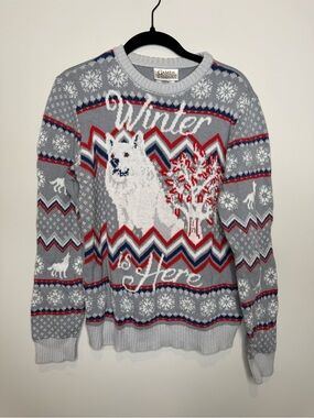 Game of Thrones Kids Gray "Winter Is Here" Knit Sweater